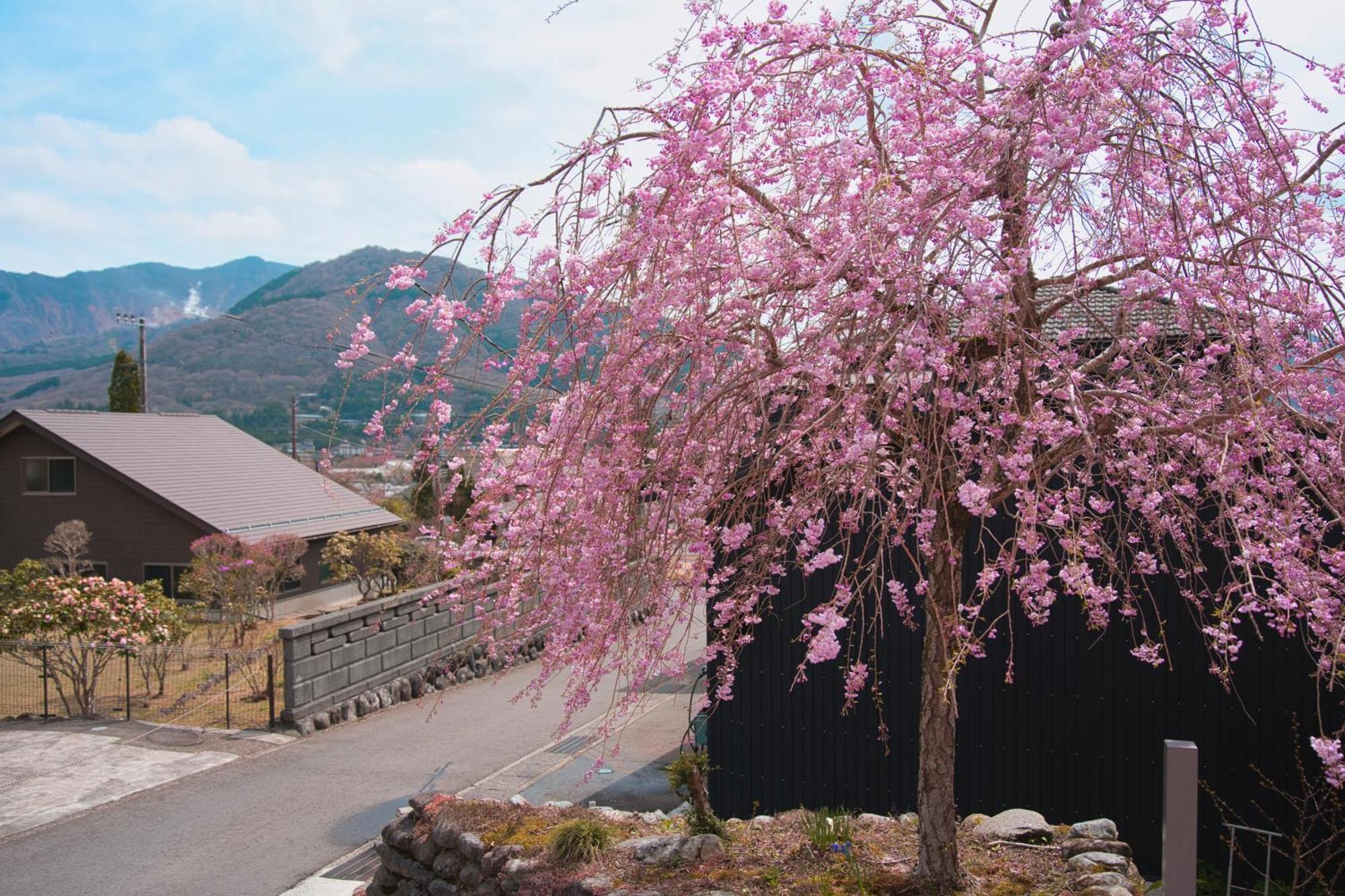 Root Hakone Hotell Exteriör bild